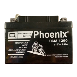 TSM 1290 (12V - 9 Ah)
