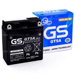 GTZ4V
