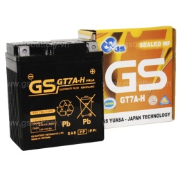 GTZ5S
