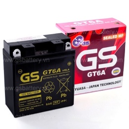 GTZ5S