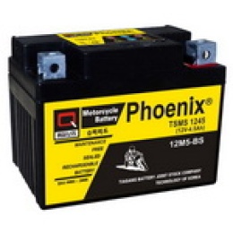 Ắc quy xe máy TSMS1245