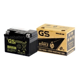 GTZ5S-E