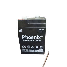 TS 650 (6V - 5Ah)