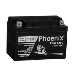 Ắc quy xe máy TSM1290(12V-9AH)