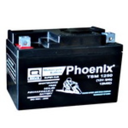 Ắc quy xe máy TSM1250W(12V-5AH)