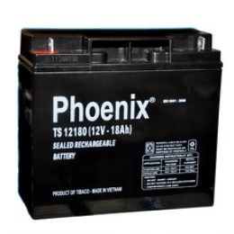 Ắc quy thiết bị TS12180(12V-18AH)