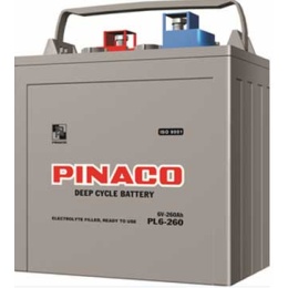 Ắc quy công nghiệp PL6-260