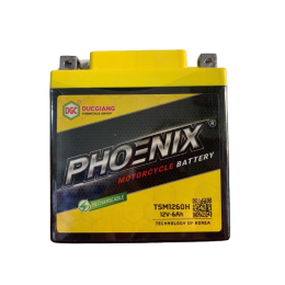 TSM1260H(12V - 6Ah)