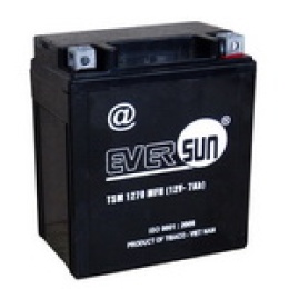 Ắc quy xe máy TSM1270MFH(12V-7AH)