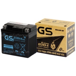 GTZ6V-E