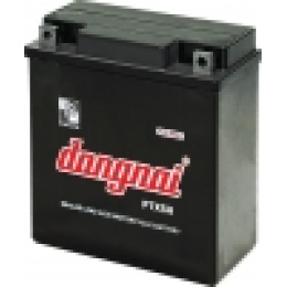 ắc quy xe máy PTX5H