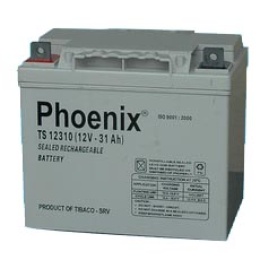 Ắc quy công nghiệp TS12310(12V-31AH)