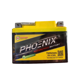 TSM1250S (12V-4.5Ah)