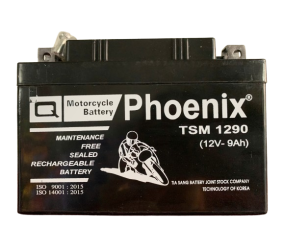 TSM 1290 (12V - 9 Ah)
