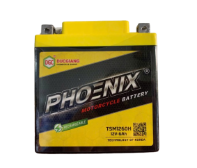 TSM1260H(12V - 6Ah)