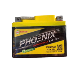 TSM1250S (12V-4.5Ah)