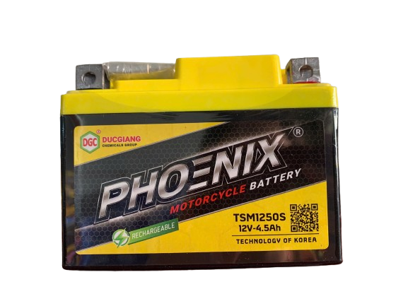Ắc quy Phoenix chất lượng cao, giá tốt tại Hồng Phát TP.HCM